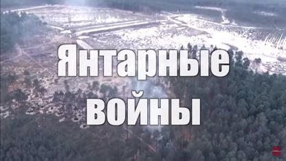 Янтарные войны на подпольных копанках Полесья. Расследование "Страны"