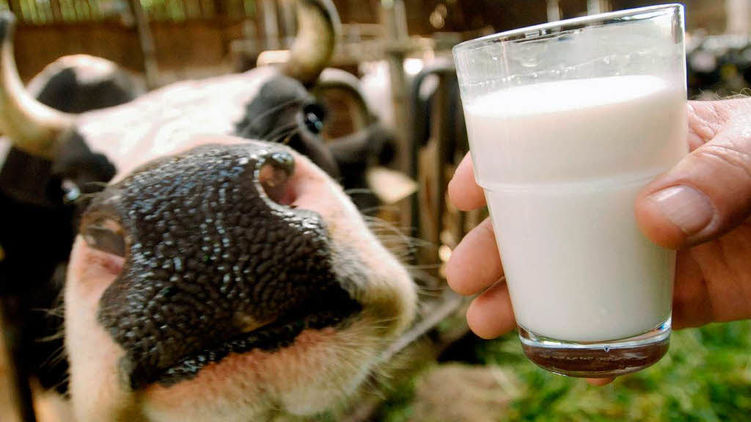Рынок молочных продуктов в Украине ждут серьезные перемены, фото: hyser.com.ua