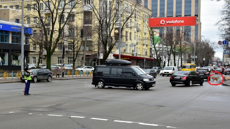 Премьерские машины спешат в Верховную Раду, фото: Аркадий Манн, 