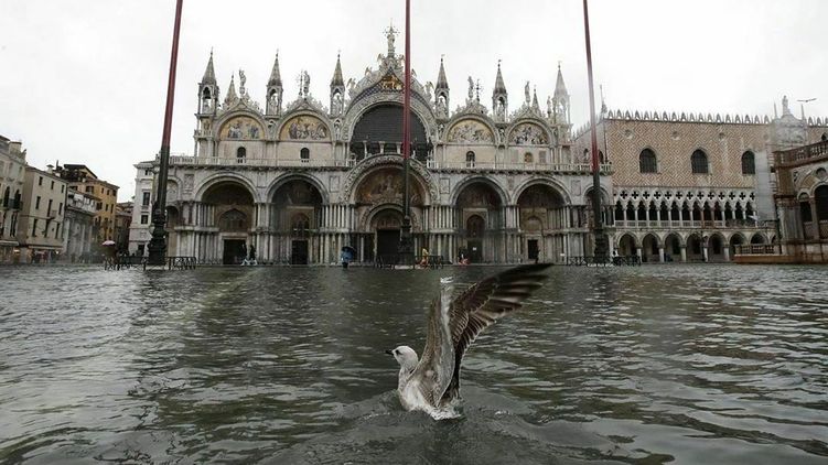 Венеция скрылась под водой. Фото: La Repubblica