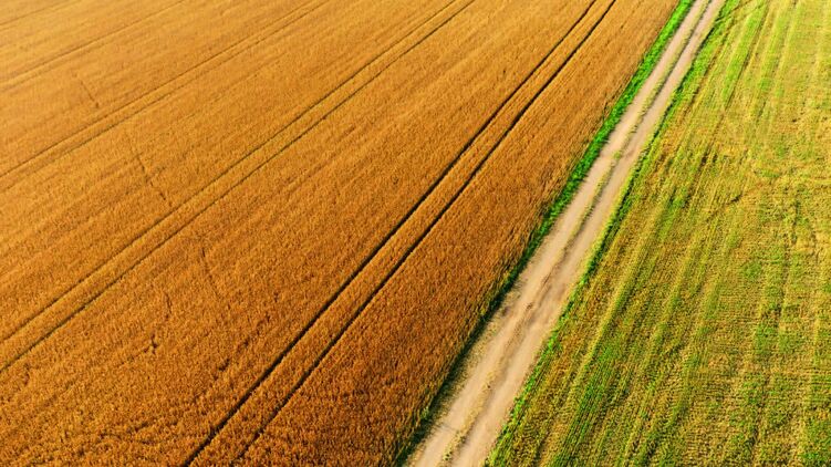В Раде могут убрать ограничения на снятие с полей слоя чернозема, что позволит свободно продавать самую большую аграрную ценность Украины. Фото из открытых источников