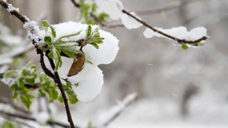На западе Украины завтра может выпасть снег. Фото: freepik