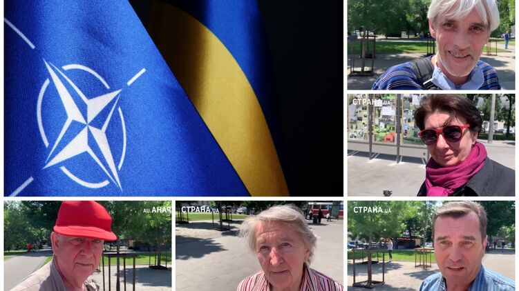 Что киевляне думают о возможном вступлении Украины в НАТО. Коллаж 