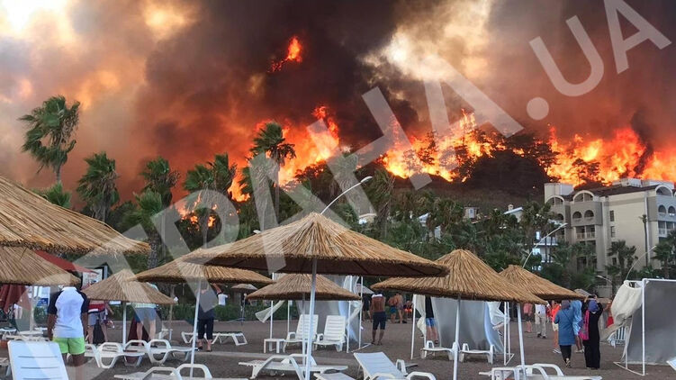 Турция охвачена пожарами, огонь подбирается к отелям на популярных курортах Бодрума, Антальи и Мармариса. Фото 