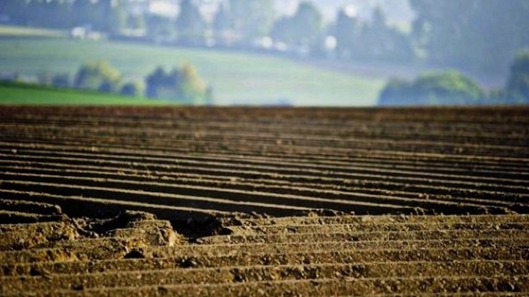 По словам экспертов, парламент пошел на поводу у крупных агрохолдингов, которым невыгоден свободный рынок земли, фото: zn.ua