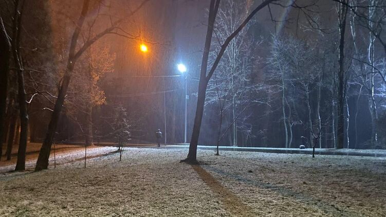 К вечеру 23 ноября в Киеве пошел снег