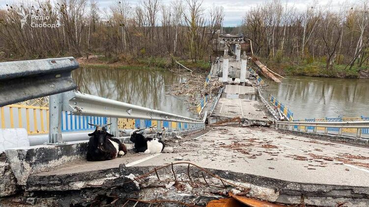 Разрушенный мост в Богородичном в Донецкой области после боев