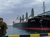 Российский аммиак и украинский "план Б". Что будет дальше с зерновым коридором, который сейчас блокирует РФ