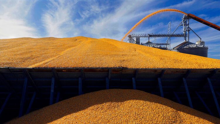 Перспективы вывоза зерна не определены. Фото: gazeta.ru