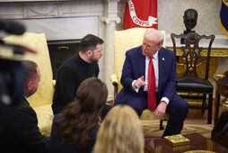 "Элиты понимают, что дело плохо"