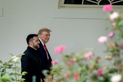 Усі 28 пунктів. Повний текст мирного плану Трампа