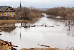 Великий потоп та покращення по світу. В Україні вже почалася весняна повінь. Якими будуть наслідки?