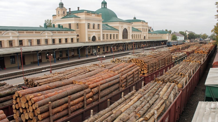 Судьбу экспорта леса-ругляка должна решить Верховная Рада, Фото: una-unso.com