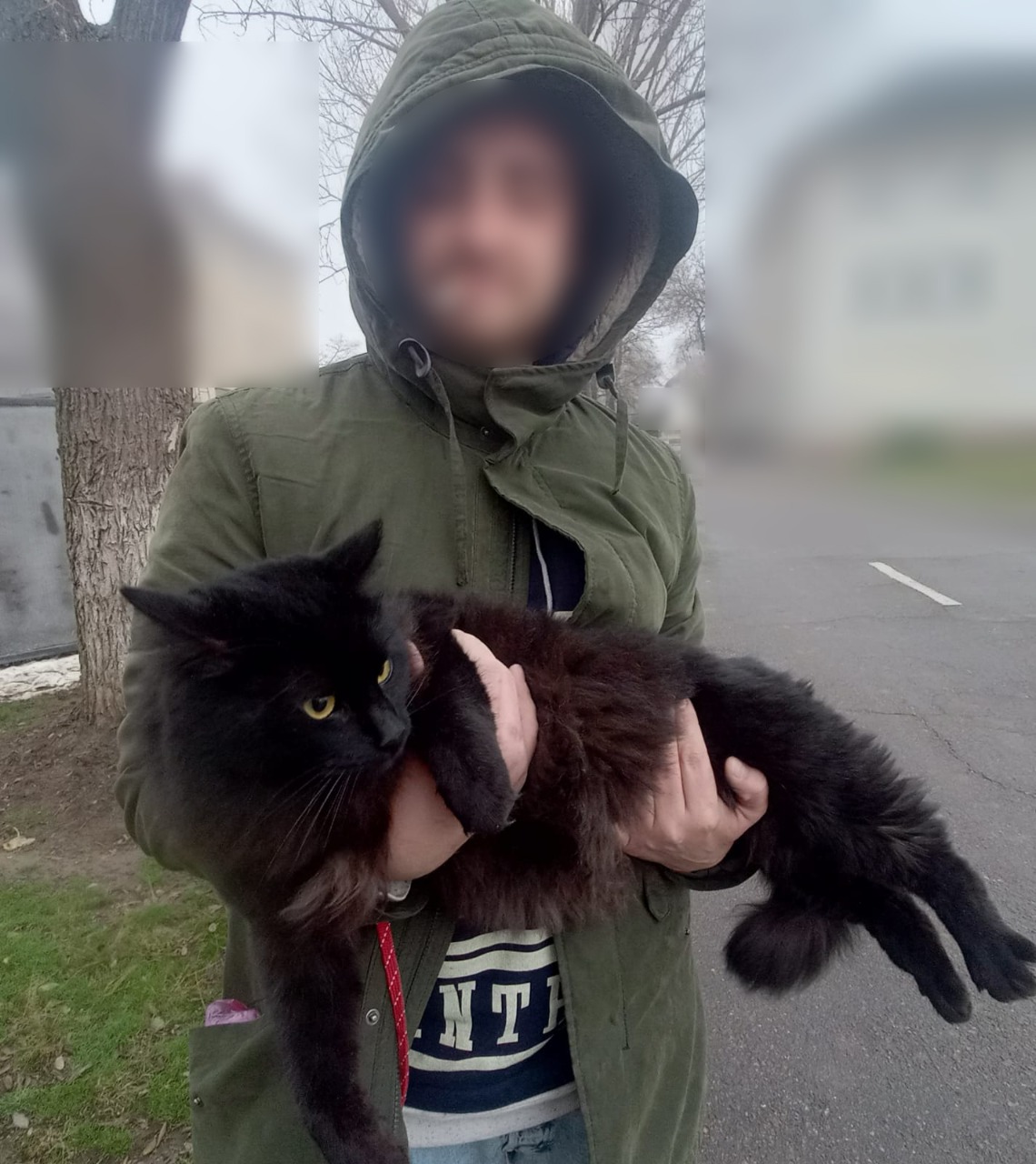 Уклонист хотел сбежать из Украины со своим котом