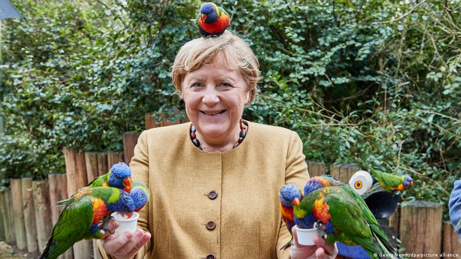 Меркель и попугаи