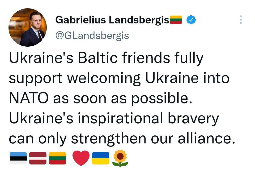 Скриншот из Твиттера главы МИД Литвы