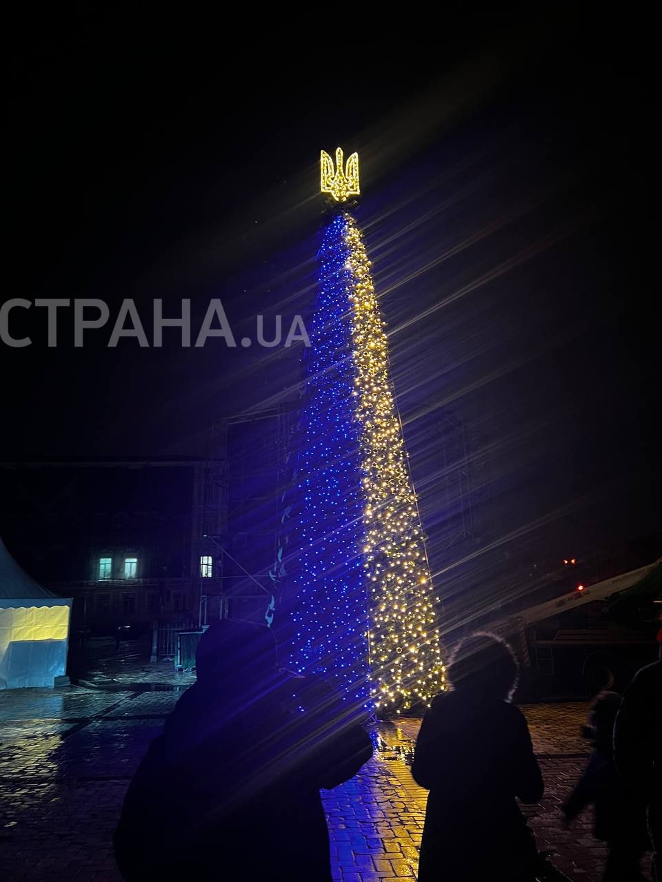 Новогодняя елка Киева