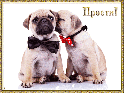 Открытка с прощеным воскресеньем