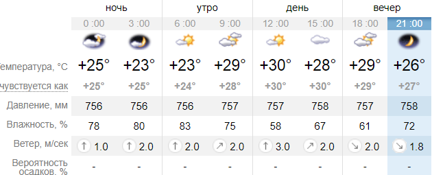 Погода на завтра в Бердянске