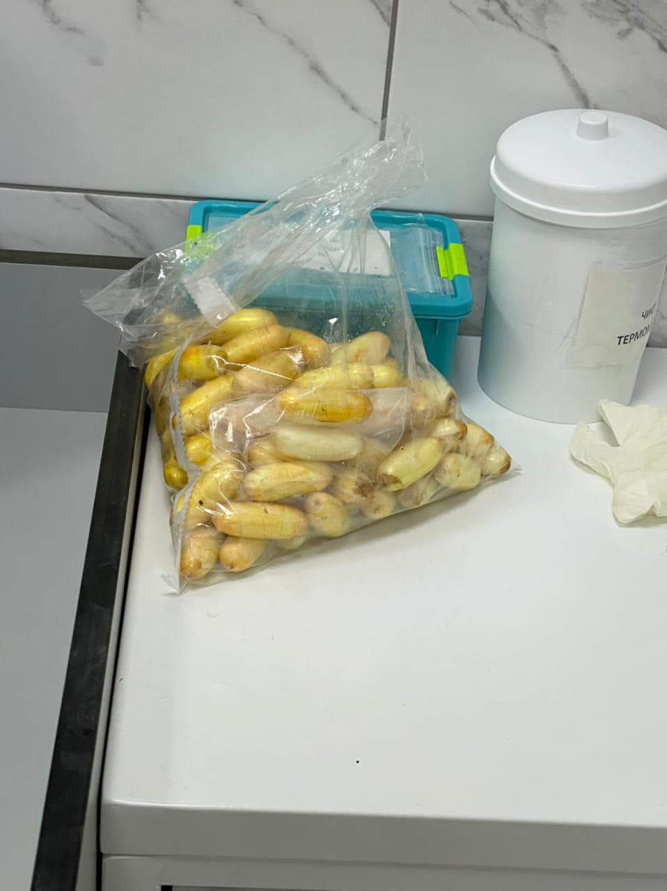 бразилец перевозил кокаин в Украину в желудке