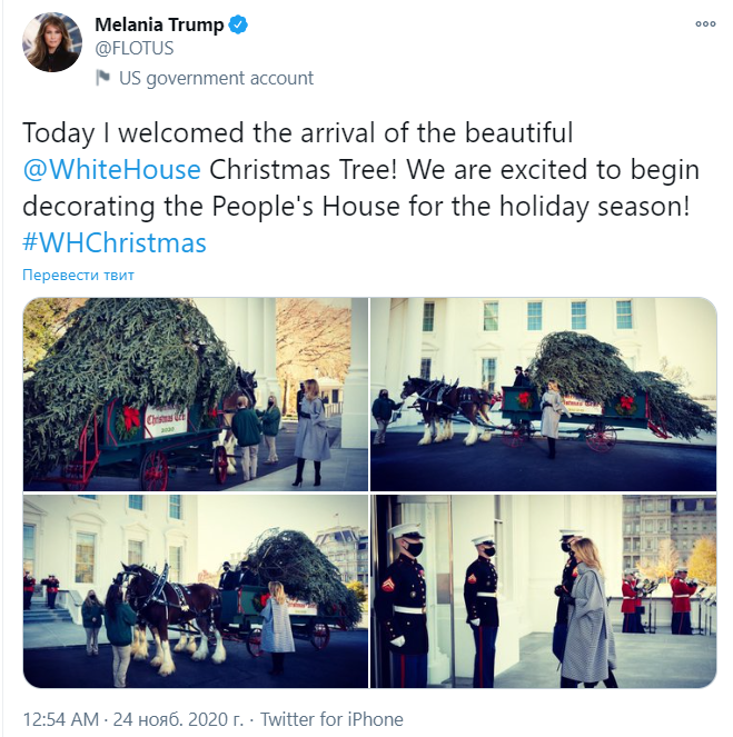 в Белый дом доставили рождественскую ель