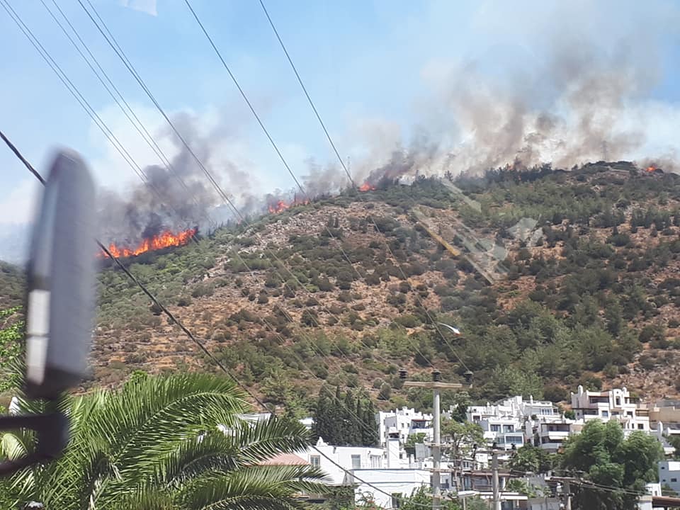 горят леса в Бодруме