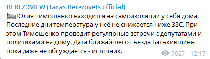 Березовец - о Тимошенко. Скриншот Телеграма