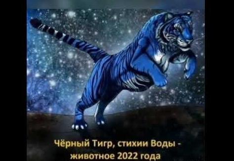Новый 2022 Год Черного Водяного Тигра