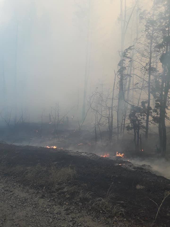 Огонь пожирает лес