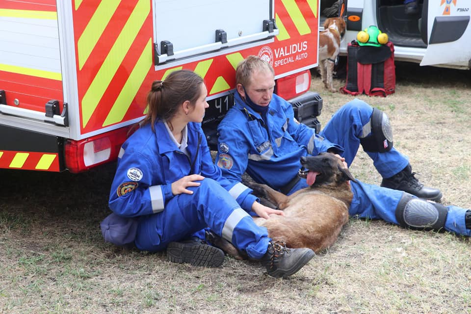 Спасатели показали, как животные помогают им спасать выживших. Фото: facebook.com/MNS.GOV.UA