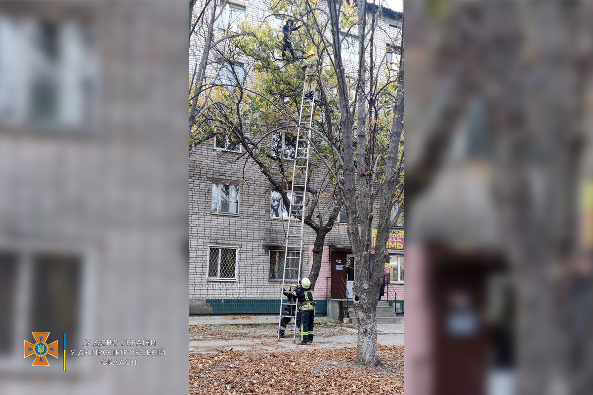 В Никополе беременная женщина залезла на дерево и не смогла самостоятельно спуститься. Фото: dsns.gov.ua