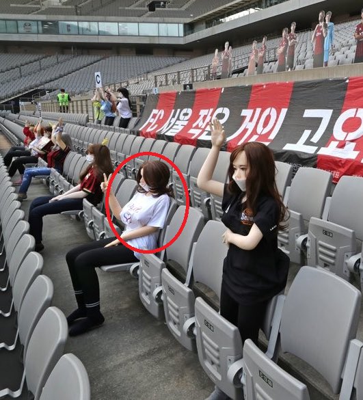 Секс-куклы на трибунах во время футбольного матча в Южной Корее. Фото: twitter.com/WhoAteTheSquid