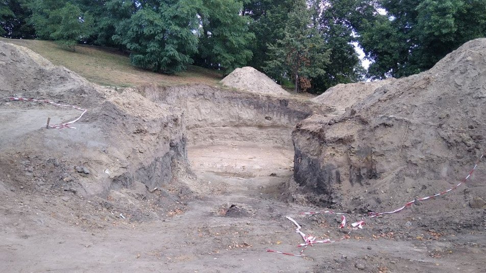 В Житомирской области найдены останки мамонта. Фото: suspilne.media