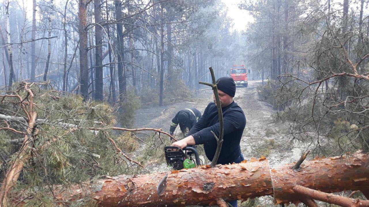 Спасатели тушат возгорание в Житомирской области. Фото: dsns.gov.ua