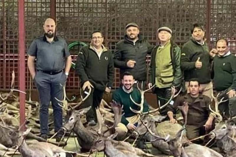 В Португалии "охотники" расстреляли на огороженной ферме 540 оленей и кабанов. Фото: Твиттер