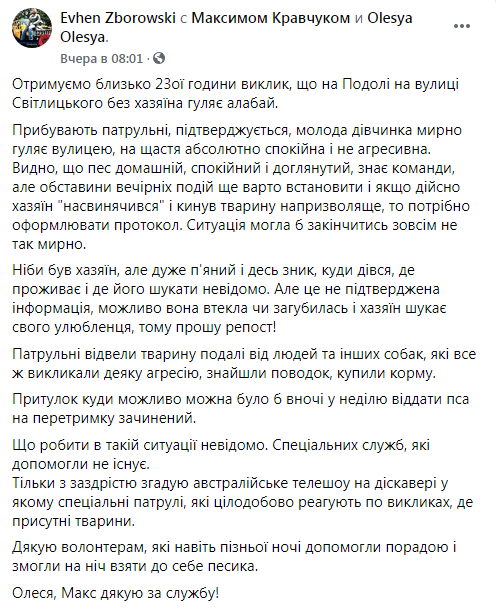 В Киеве потерялся алабай. Скриншот: Евгений Зборовский в Фейсбук