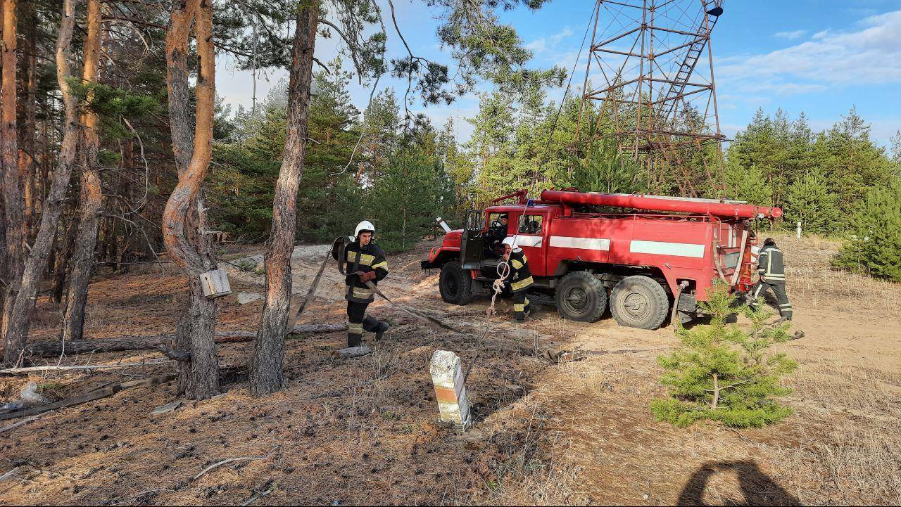 Спасатели продолжают тушить мощные лесные пожары в Луганской области. Скриншот: facebook.com/MNS.GOV.UA