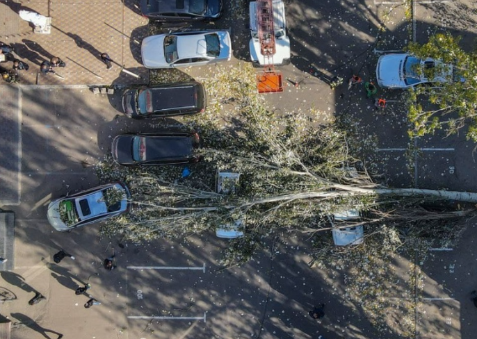 В Одессе 21 октября сильный ветер повалил деревья, пострадал мужчина. Фото: usionline.com 