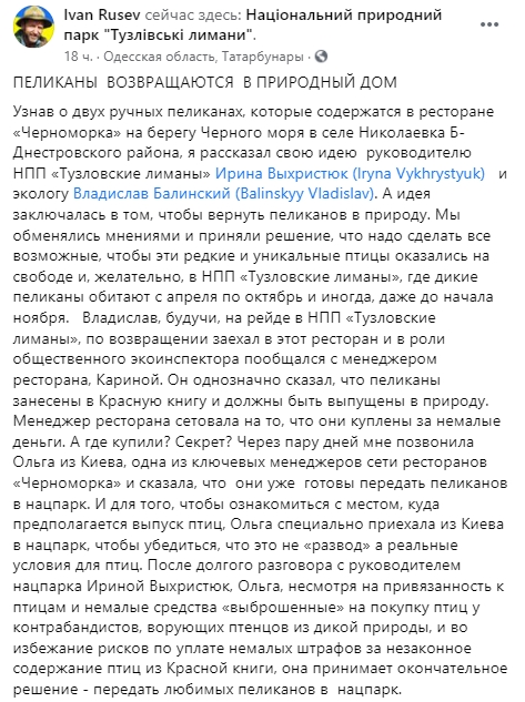 Пеликанов переселили в национальный природный парк "Тузловские лиманы". Скриншот: Facebook/ rusevivan