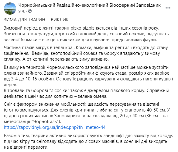 Скриншот: зима является вызовом для существования представителей фауны.