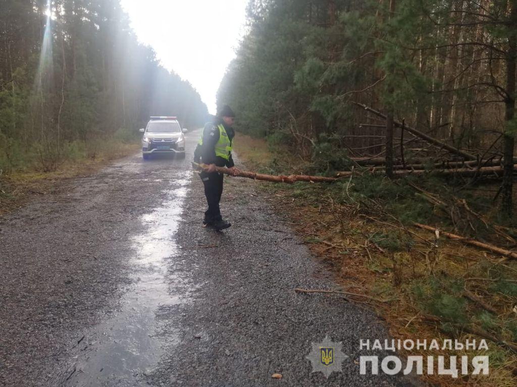 Штормовой ветер повалил деревья в Черниговской области