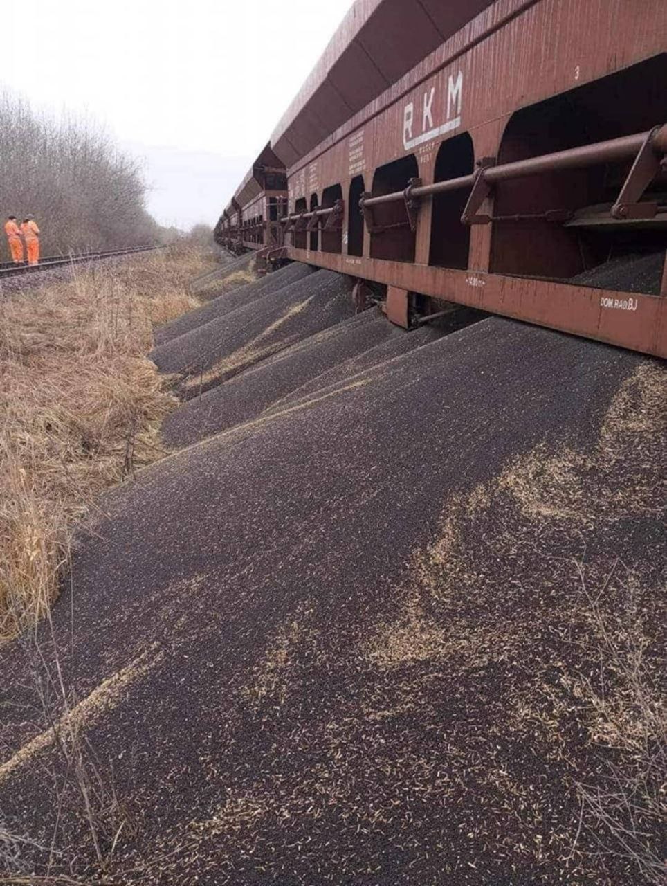 В Польше высыпали из вагонов украинское зерно