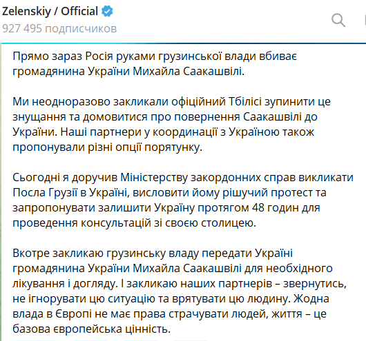 Зеленский призвал власти Грузии передать Украине Саакашвили