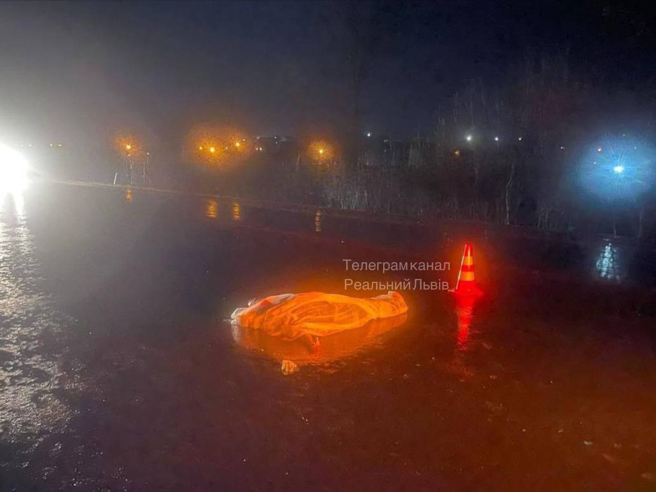 Фото загиблої в ДТП людини. Джерело – Телеграм