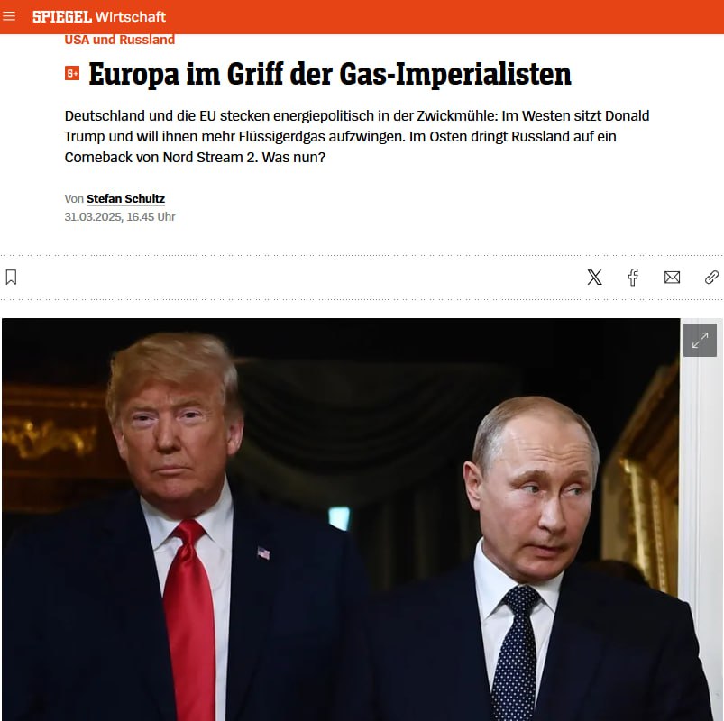 Снимок заголовка на spiegel.de
