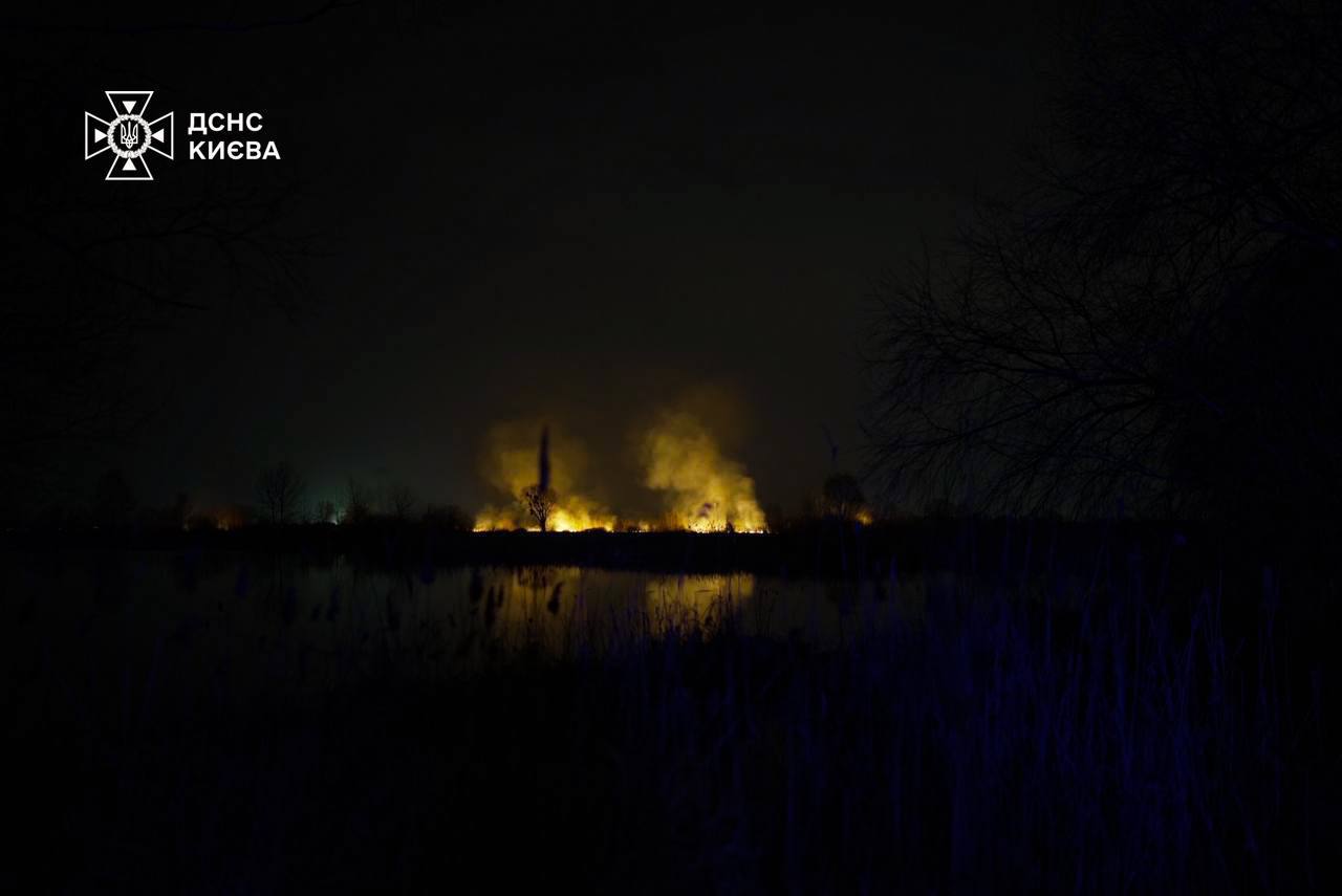Фото пожара на Осокорках. Источник - ГСЧСУ