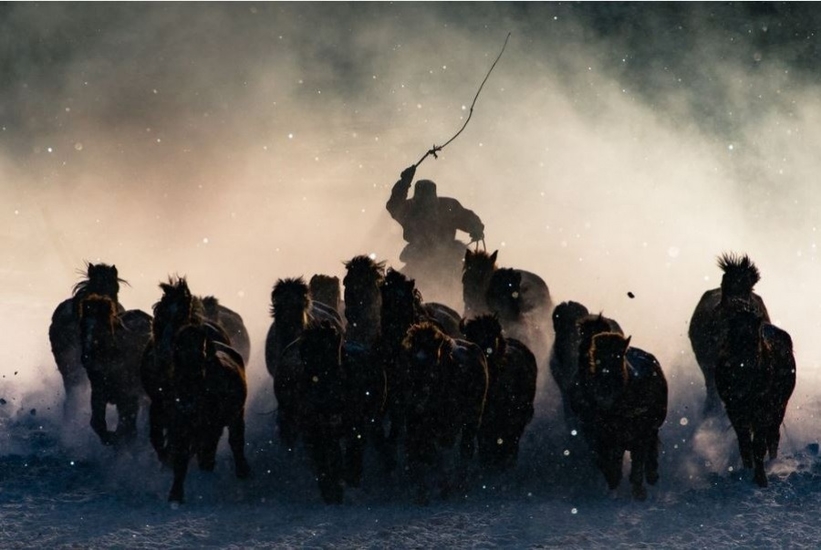 Гран-при конкурса "Зимний всадник", Внутренняя Монголия 
Фото: © Anthony Lau